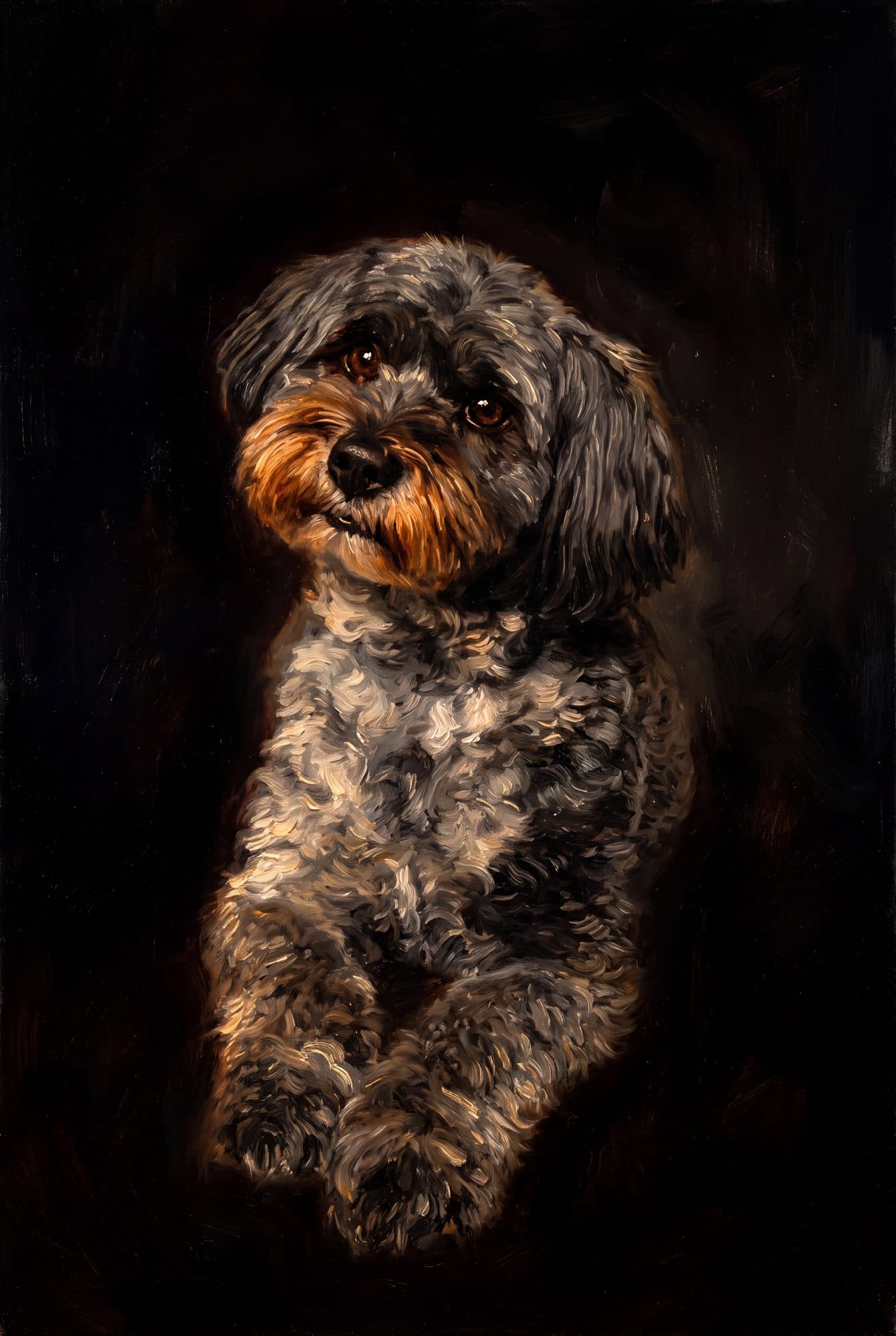 Hundeportrait im Rembrandt-Stil — Aus der Dunkelheit